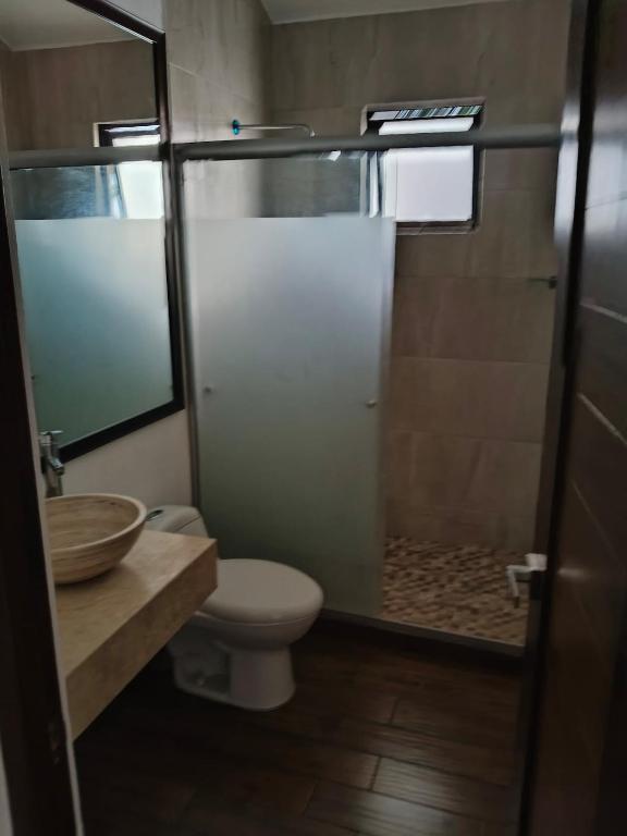 a bathroom with a shower with a toilet and a sink at Hacienda Valbuena Antorcha area in León