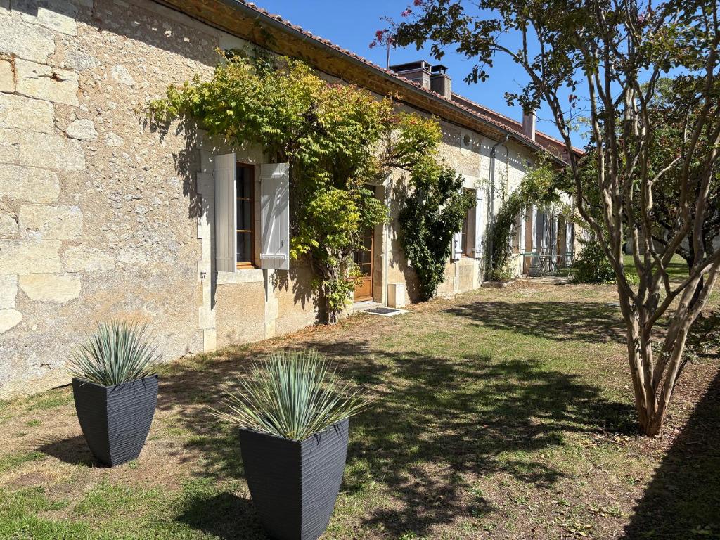 Zahrada ubytování Villa Leynie