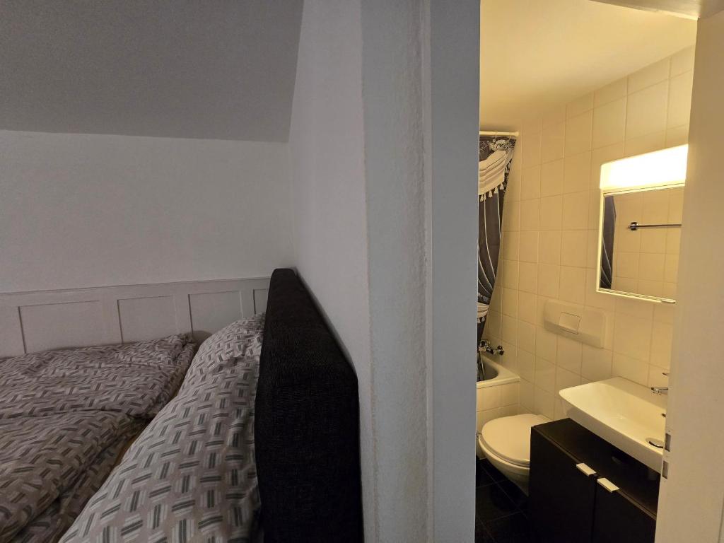 Great Double Apart in Old Town Bern - Resim 3