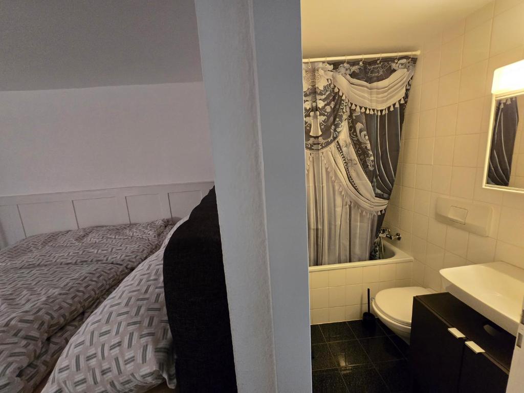 Great Double Apart in Old Town Bern - Resim 8