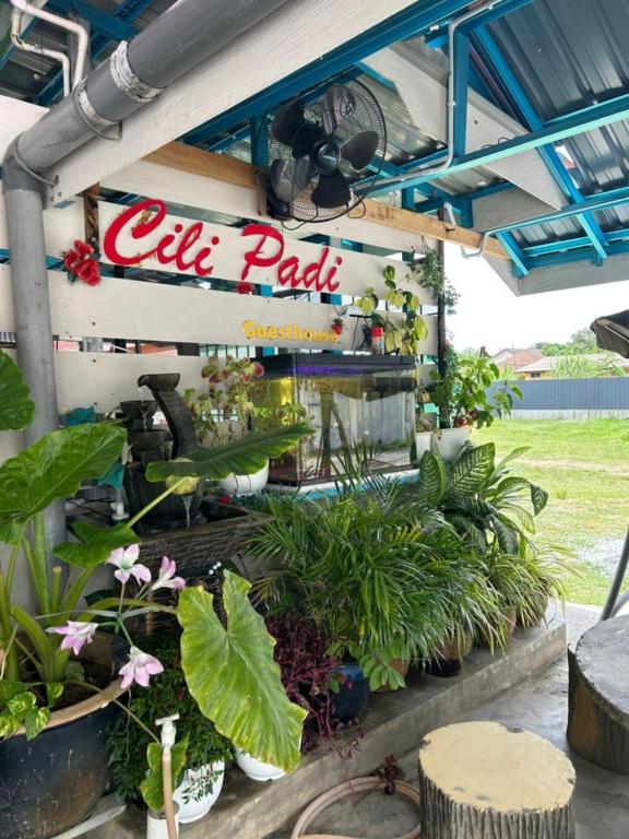 a flower shop with plants and a sign at CILI PADI GUESTHOUSE in Kota Bharu
