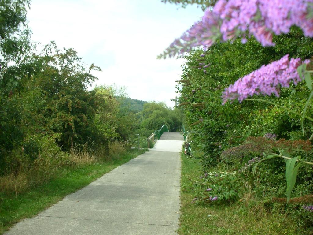 Un paisaje natural cerca de la pensión