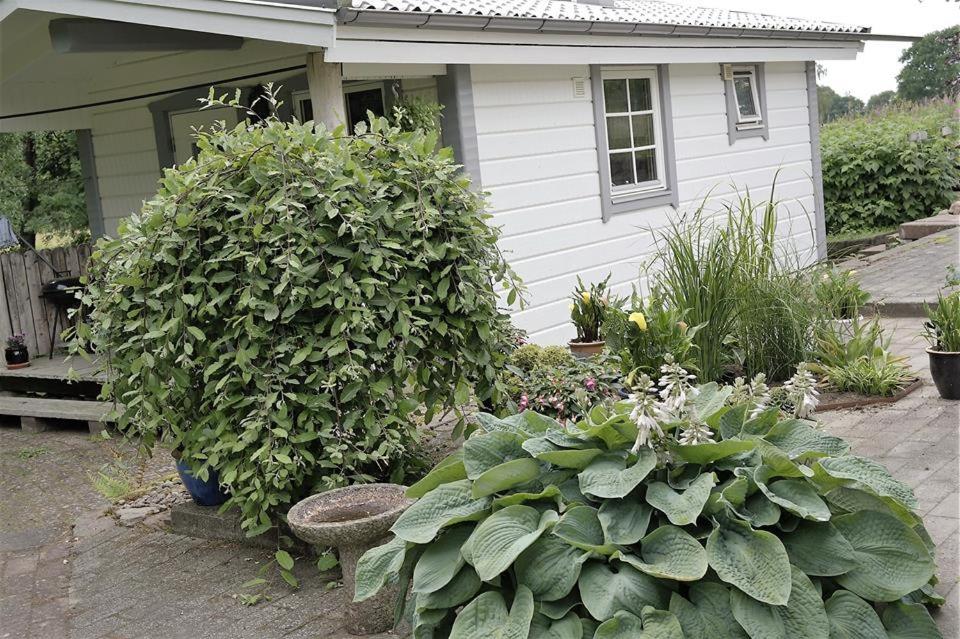 une maison avec deux grandes plantes vertes devant elle dans l'établissement Gånarps backaväg 39, à Tåstarp