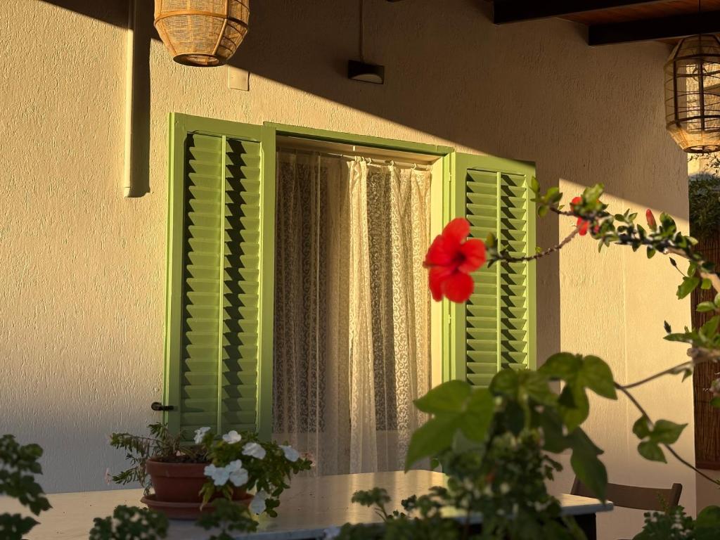 a window with green shutters and a red flower on it at Villa Clara - Comfort e natura nel cuore di Sambuca in Sambuca di Sicilia