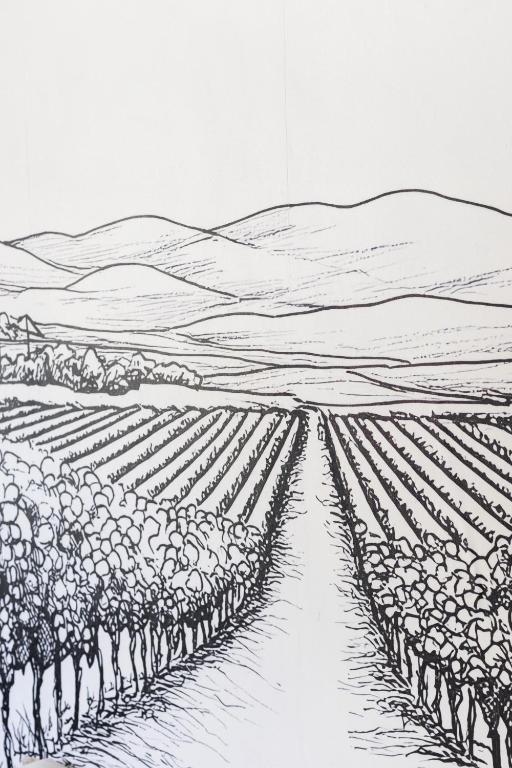 Route des vins – photo 48