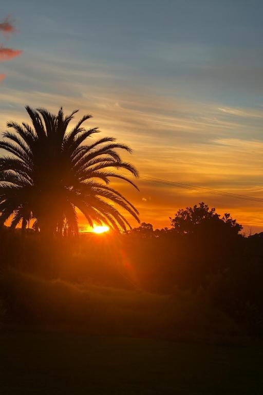 Allure - Your Auckland Wellbeing Sanctuary - Resim 12