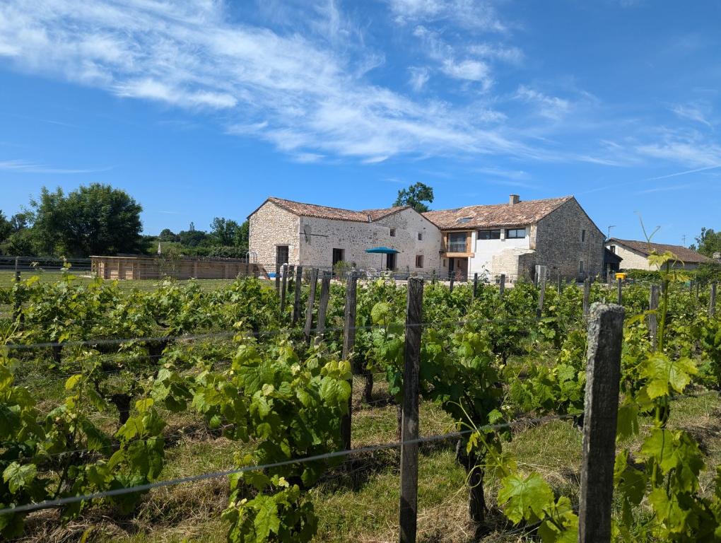 Taman di luar Vineyard Villa with Pool and Hot Tub