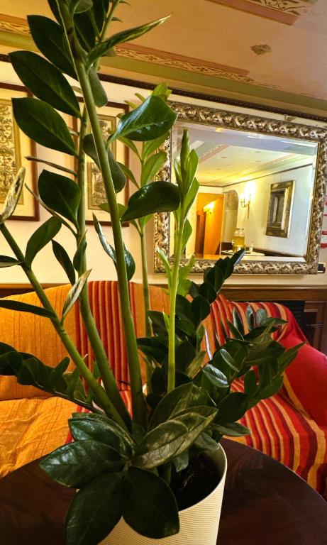 Hotel Corte Contarina - Resim 38