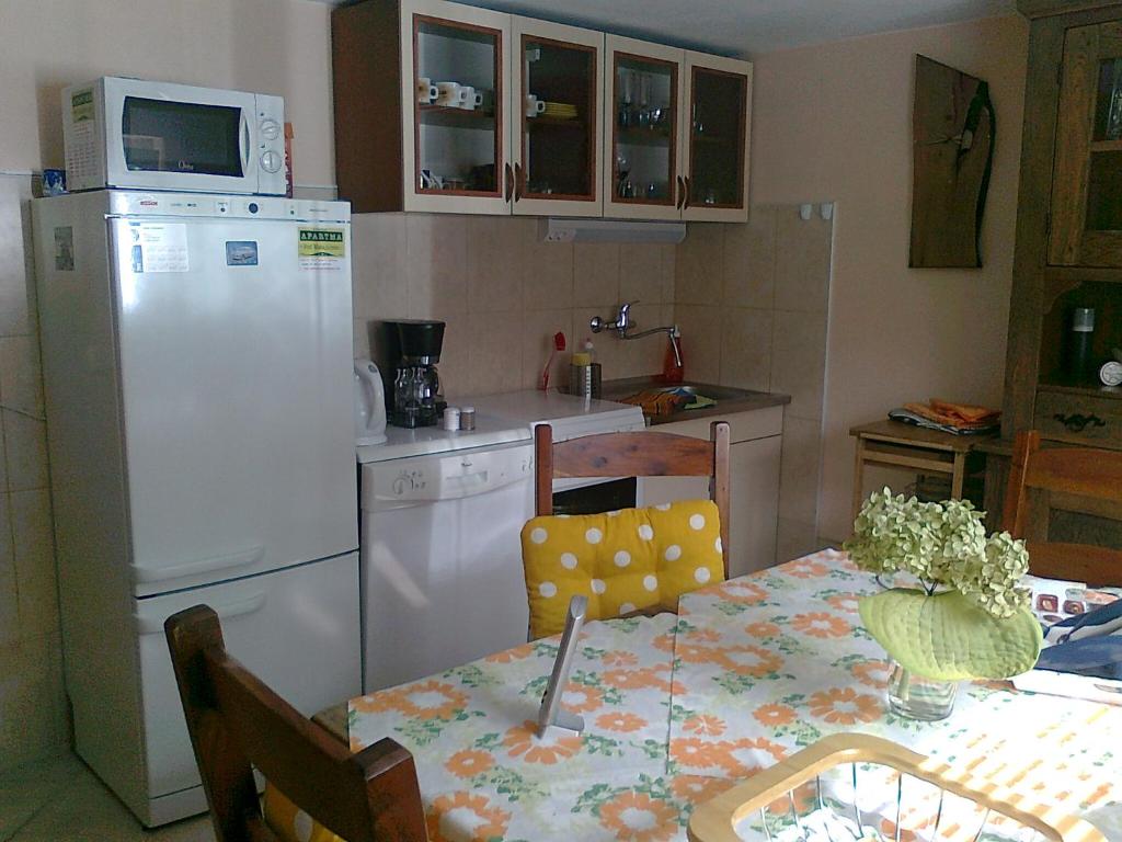 Kuchyň nebo kuchyňský kout v ubytování Apartma "Pod Matajurjem" mountains view