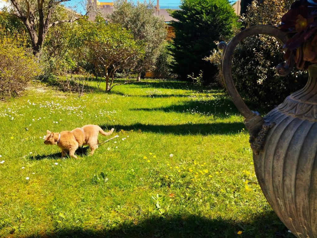 STRAVINSKY Apartments Avignon - Resim 21