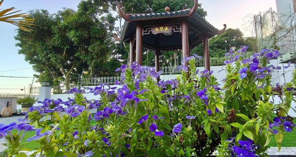 a garden with purple flowers in front of a gazebo at Yiru Academy's upstairs art & viewing room in Quatre Bornes