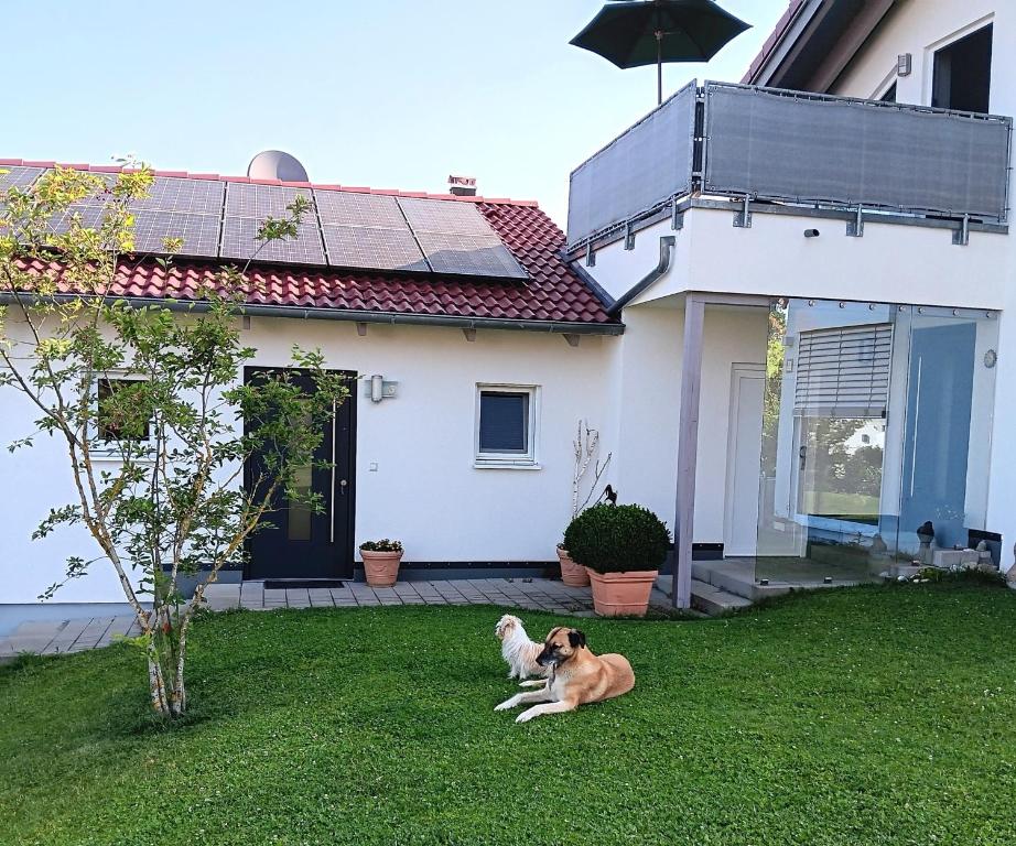 two dogs laying on the grass in front of a house at Ferienwohnung IDA in Peiting