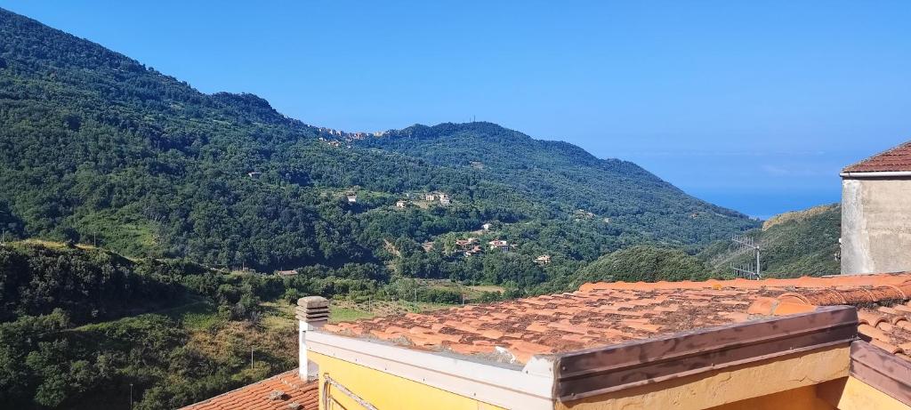 Φυσικό τοπίο κοντά σε αυτό το διαμέρισμα