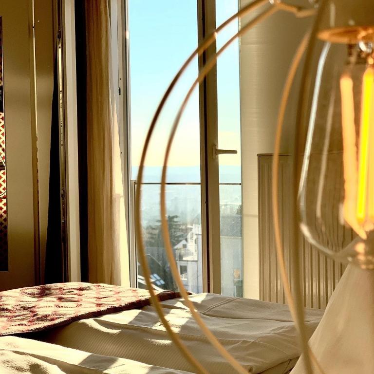 Hotel Schöne Aussicht - Resim 1