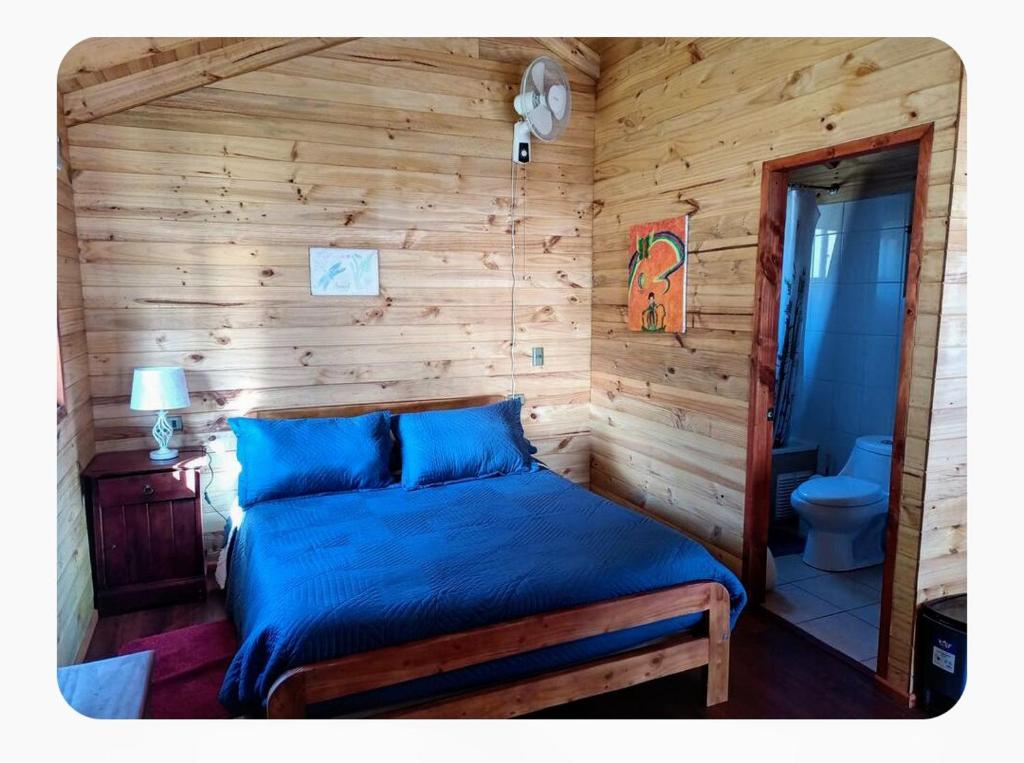 Cabaña caburgua un ambiente