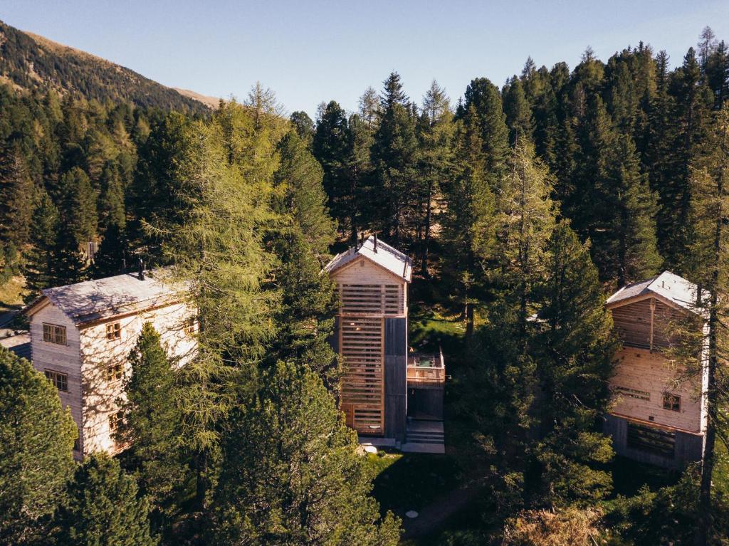 an aerial view of two houses in the woods at Hollmann am Berg Ski-in Ski-out in Turracher Hohe