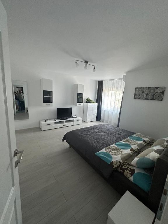 a bedroom with a large bed and a television at Oma Ra in Ocna-Mureşului