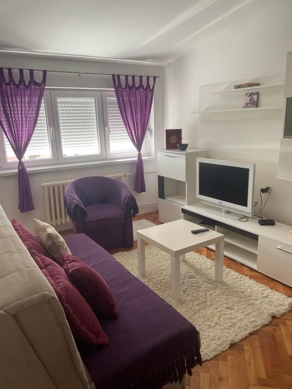 un soggiorno con un divano e una TV di Tami Apartment a Novi Sad