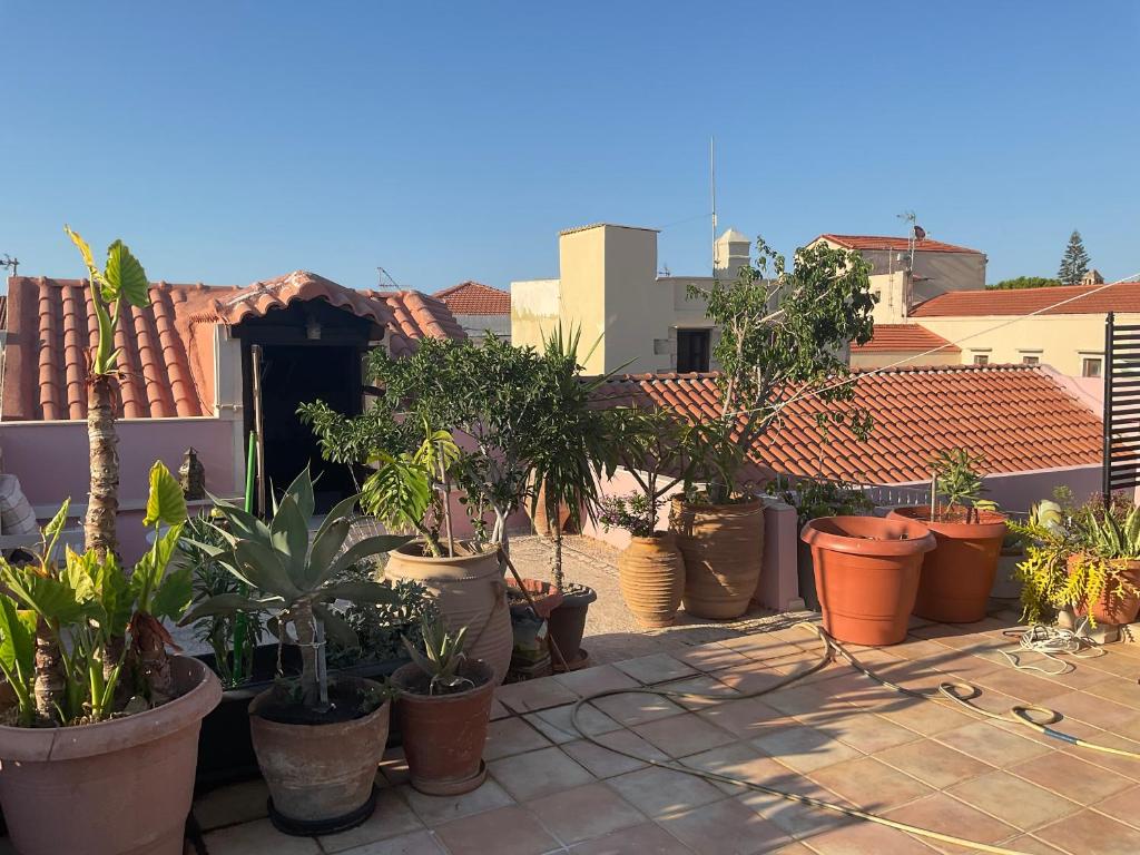 a bunch of potted plants sitting on a roof at Happy Place in Rethymno Town