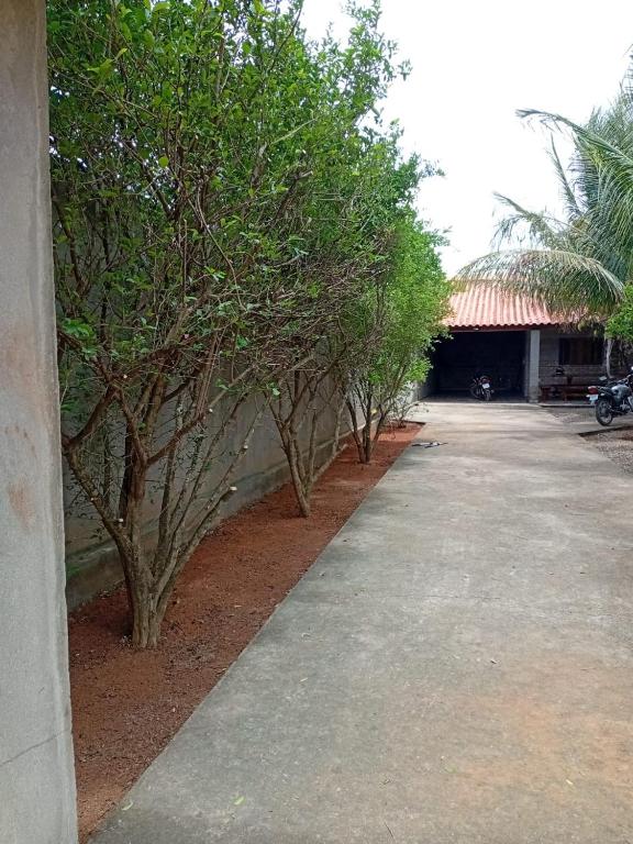 a row of trees in front of a building at Chacaras Leos in Arapiraca