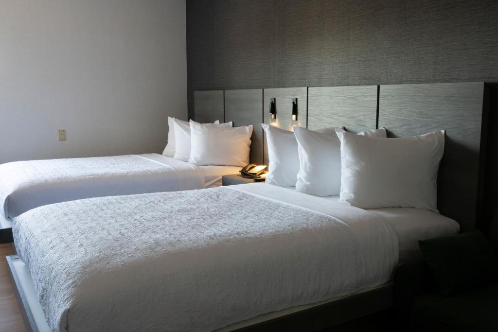 The Wexford Hotel photo