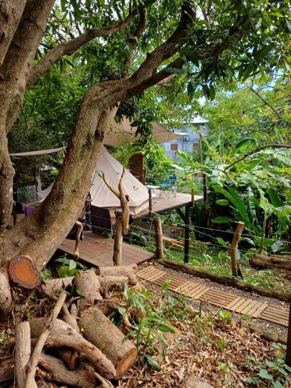 eine Hängematte unter einem Baum auf einem Holzdeck in der Unterkunft Tipi camping in Capesterre-Belle-Eau