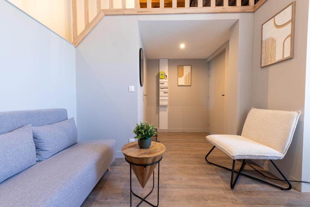 un salon avec un canapé et une chaise dans l'établissement L'Ile Barbe - Studio cosy avec mezzanine, à Caluire-et-Cuire