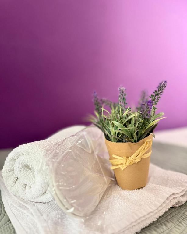 Apartments Casa del Sol Jovana - 17