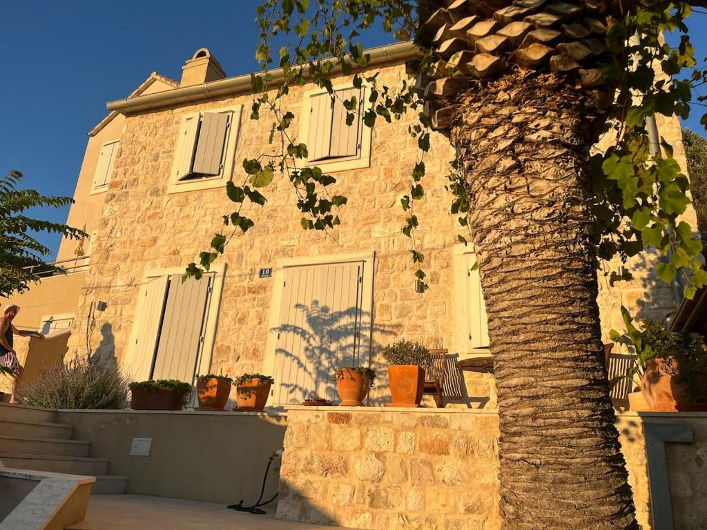 ein Gebäude mit einer Palme davor in der Unterkunft Fortuna House Vis in Vis