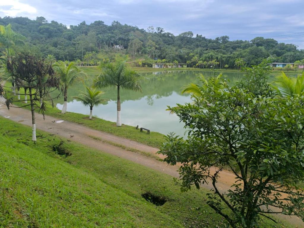 een pad langs een meer met palmbomen bij Pousada e Pesqueiro Belo Vale in Juquiá