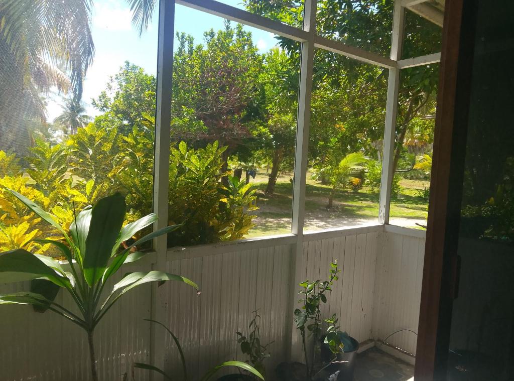 En have udenfor Fosch Hostel