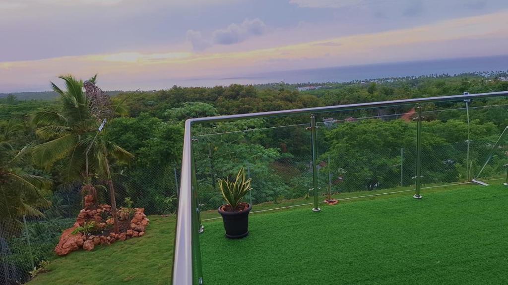 a balcony with green grass and a plant on it at Villa Carlito in Las Terrenas