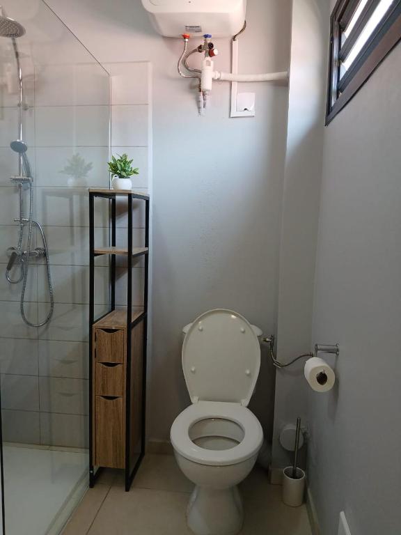 a bathroom with a toilet and a shower at CAYENNE Centre Studio D'ESTREE ECO LUXE in Cayenne