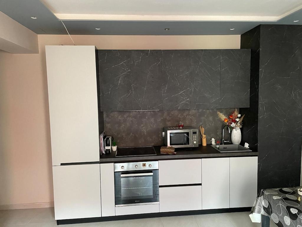 ティラナにある10th floor apartmentのコンロと電子レンジ付きのキッチン