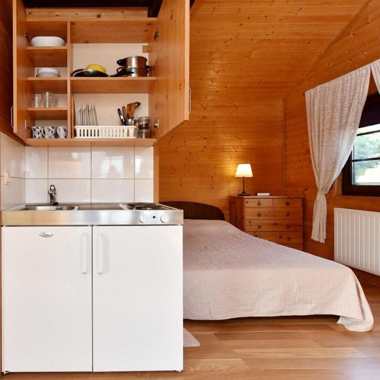 a kitchen with a bed and a sink in a room at JŪROS TROBELĖ namukas Kunigiškėse in Pakopi