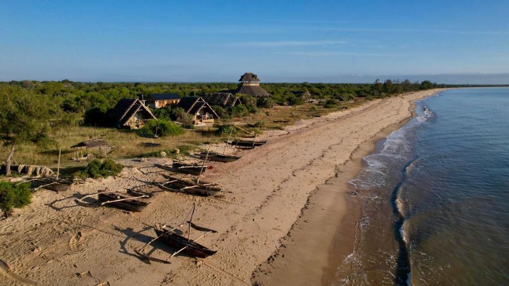 a beach with a group of boats on the shore at Saadani Beach Camp in Saadani