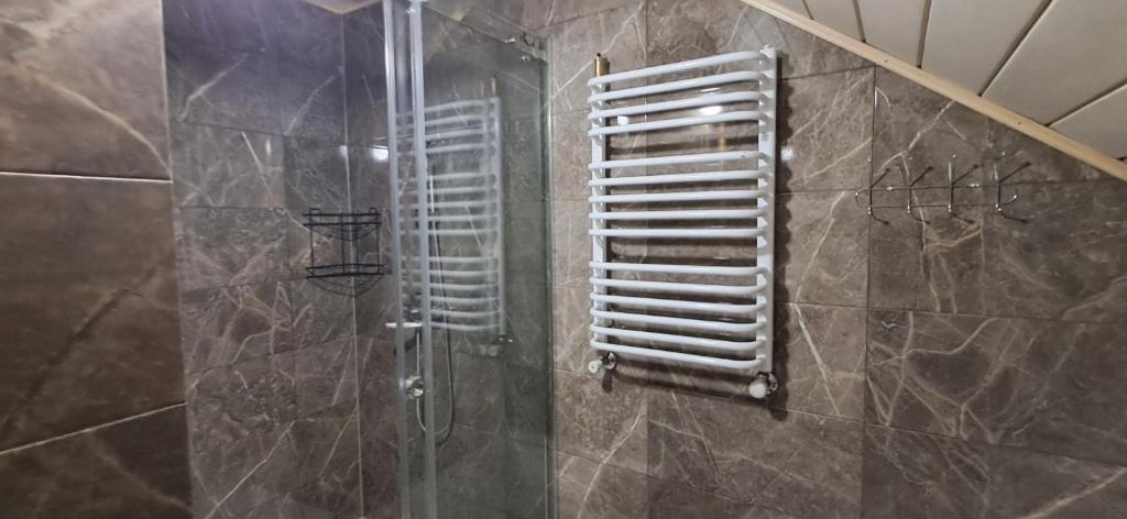 a bathroom with a shower with a glass door at Home comfort in Verkhovyna