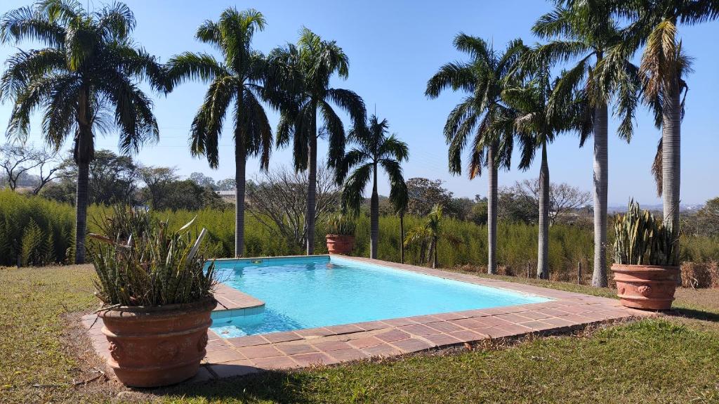 a swimming pool in a yard with palm trees at Chalé Hilda in Holambra
