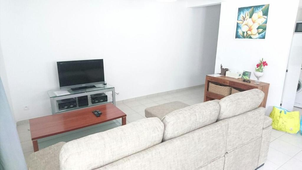 a living room with a couch and a tv at Appartement 2 pièces proche centre Commercial Galléria in Le Lamentin