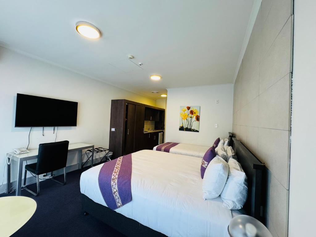 TV a/nebo společenská místnost v ubytování Amethyst Court Motor Lodge