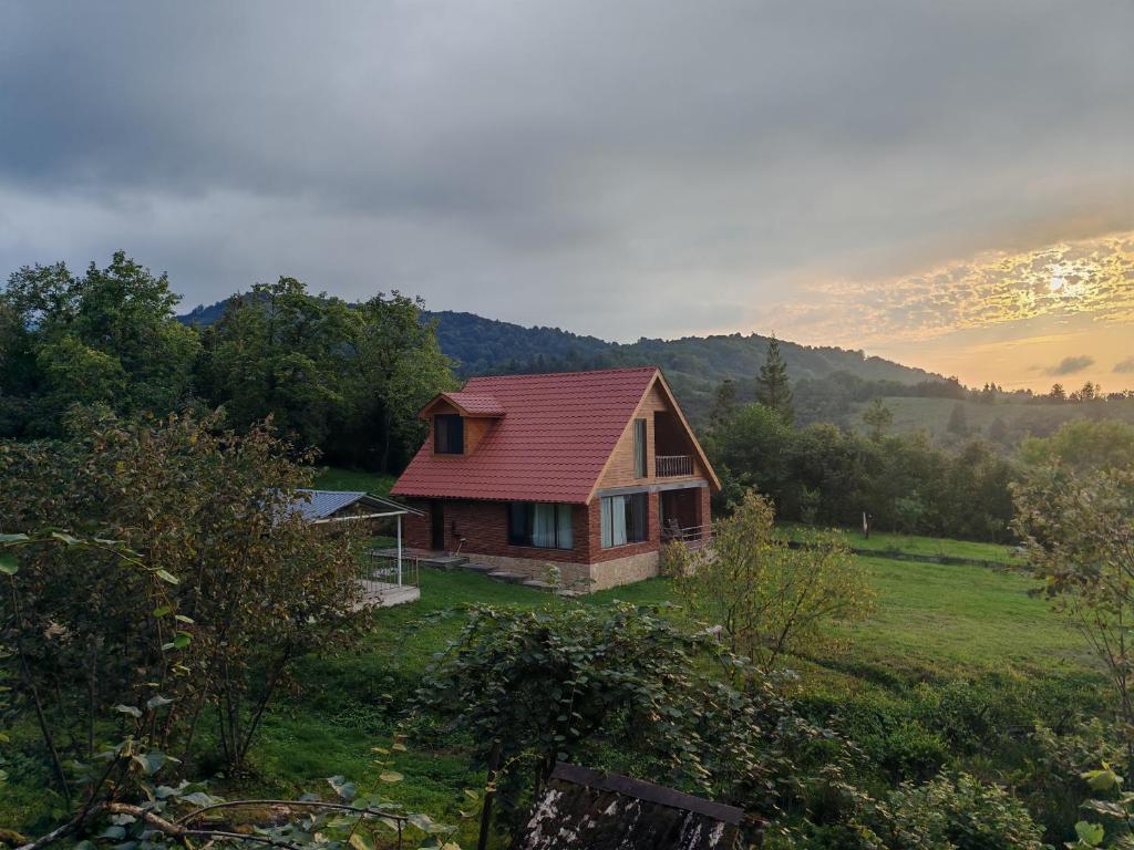 a house with a red roof on a green field at Shemoqmedi Chalet in Zemo Makvanetʼi