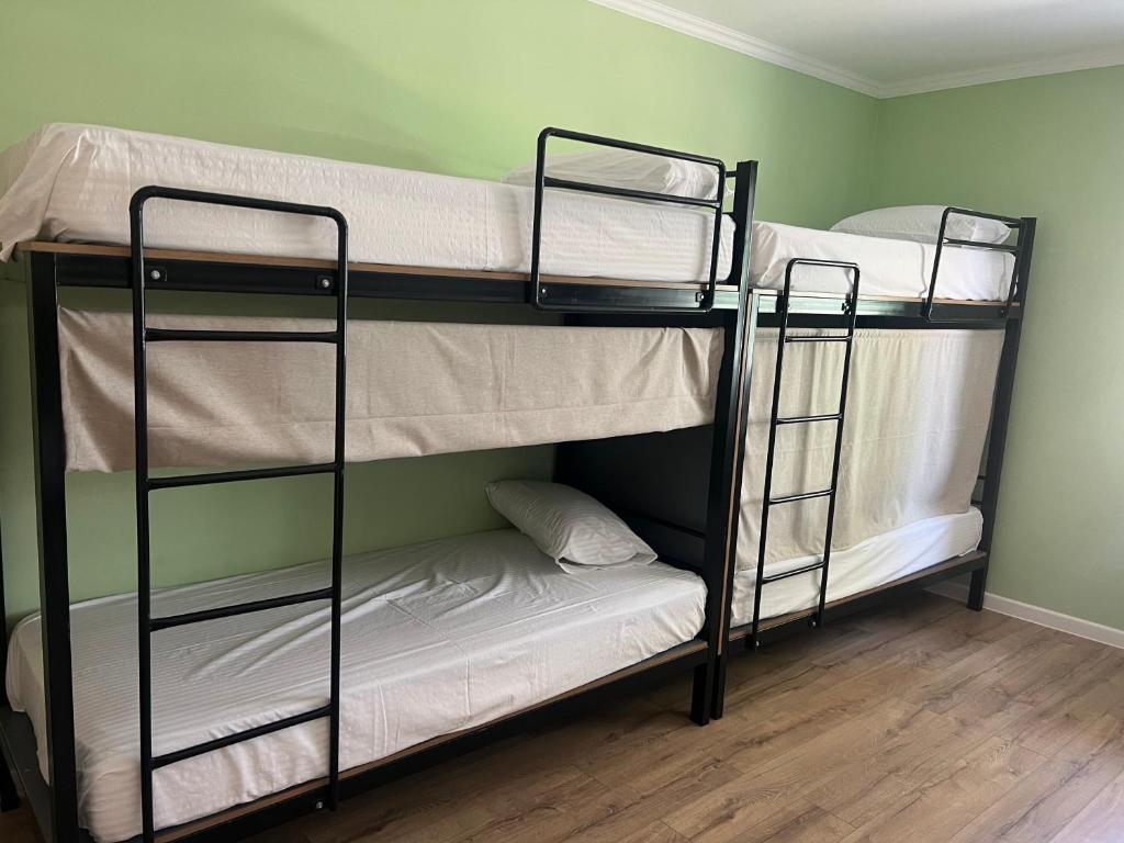 two bunk beds in a room with a green wall at Khan Hostel in Shymkent
