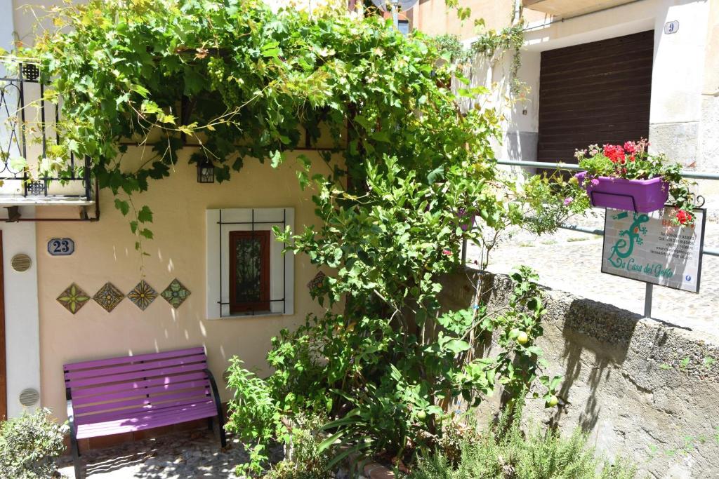 a purple bench sitting in front of a building at La Casa del Geko in Cefalù
