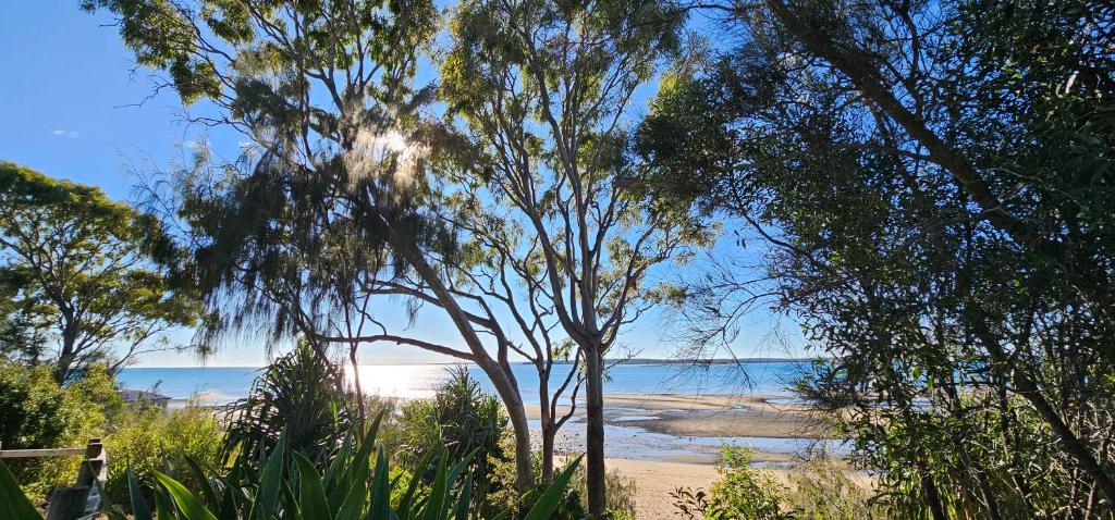 una spiaggia con alberi e l'oceano sullo sfondo di Large Private Apartment beach sunrise park views a Urangan
