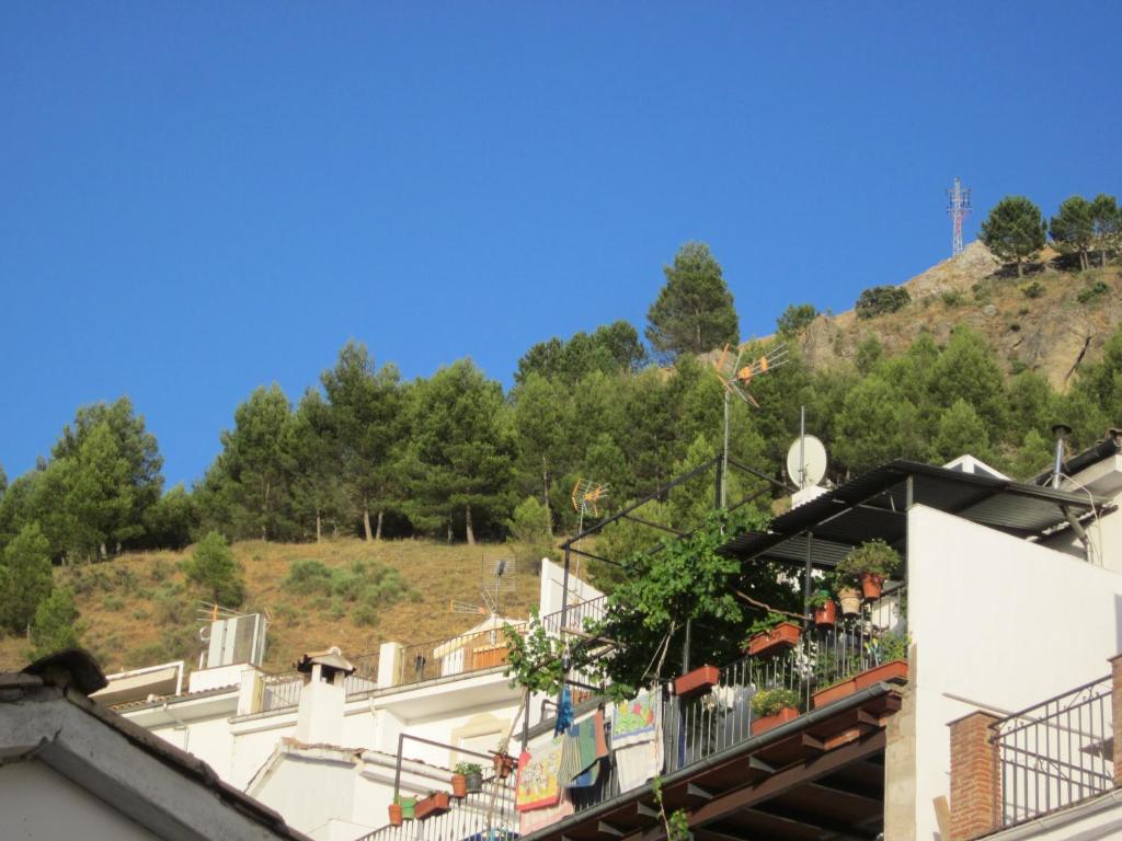 Příroda nedaleko apartmánu