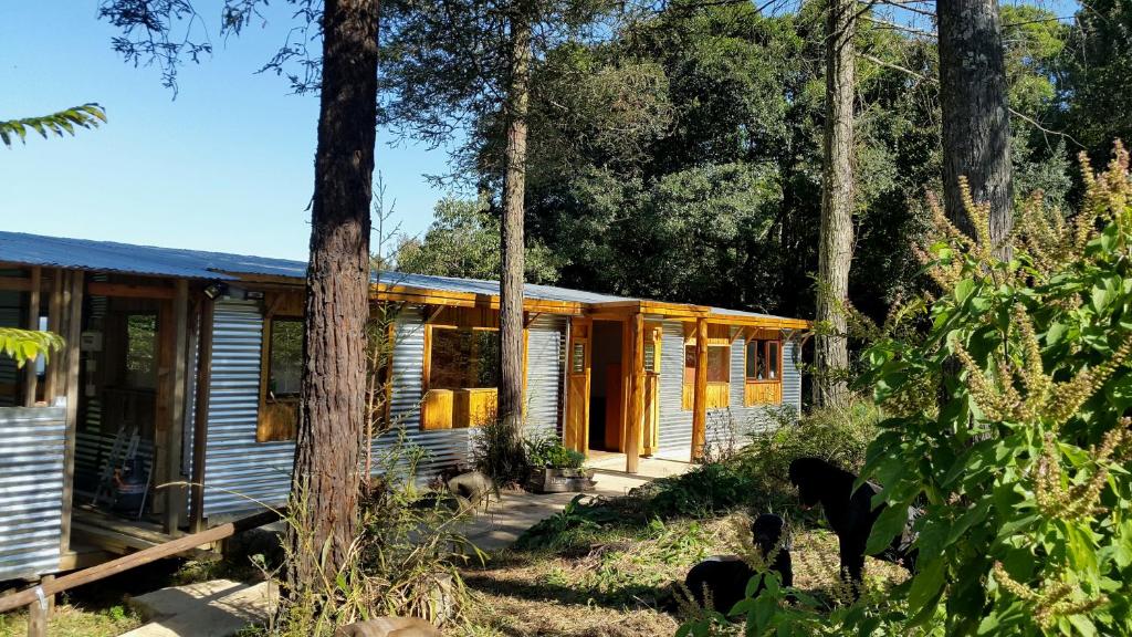 a wooden cabin in the woods with trees at Evergreen Cabin Karkloof in Karkloof Nature Reserve