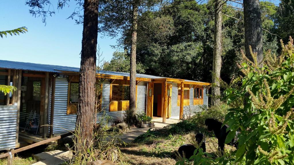 a wooden cabin in the woods with trees at Evergreen Cabin Karkloof in Yarrow