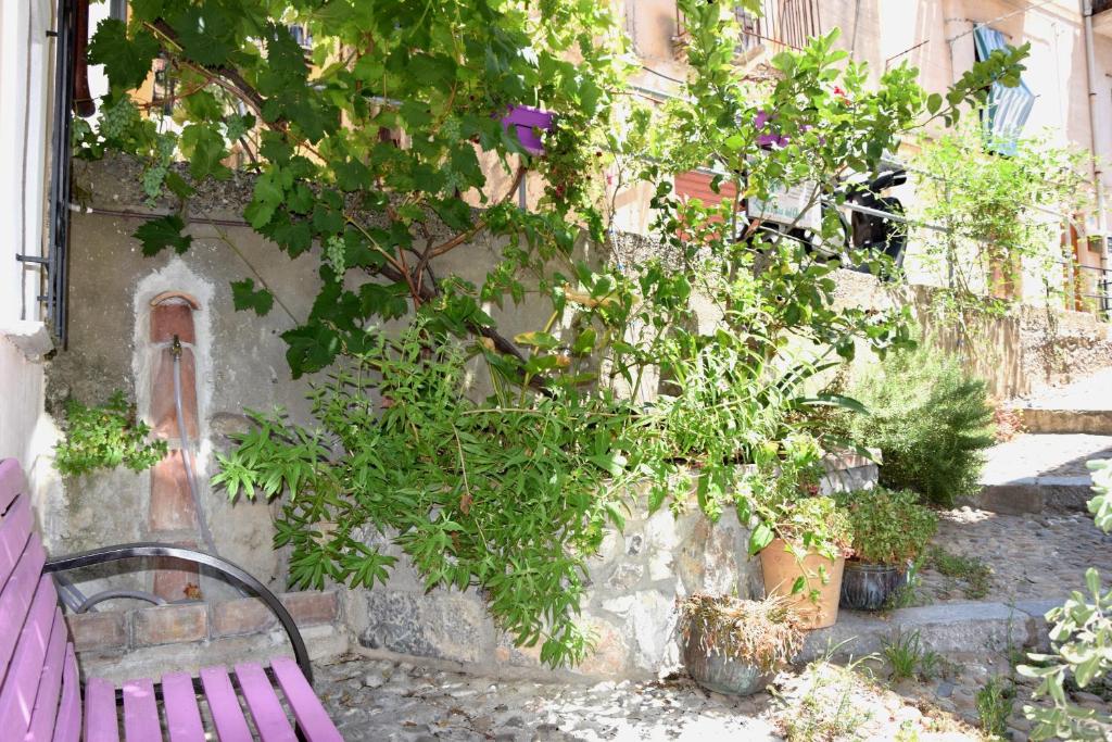 a purple bench sitting next to a wall with plants at La Casa del Geko in Cefalù