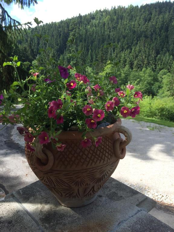 Widok na góry z tego hotelu