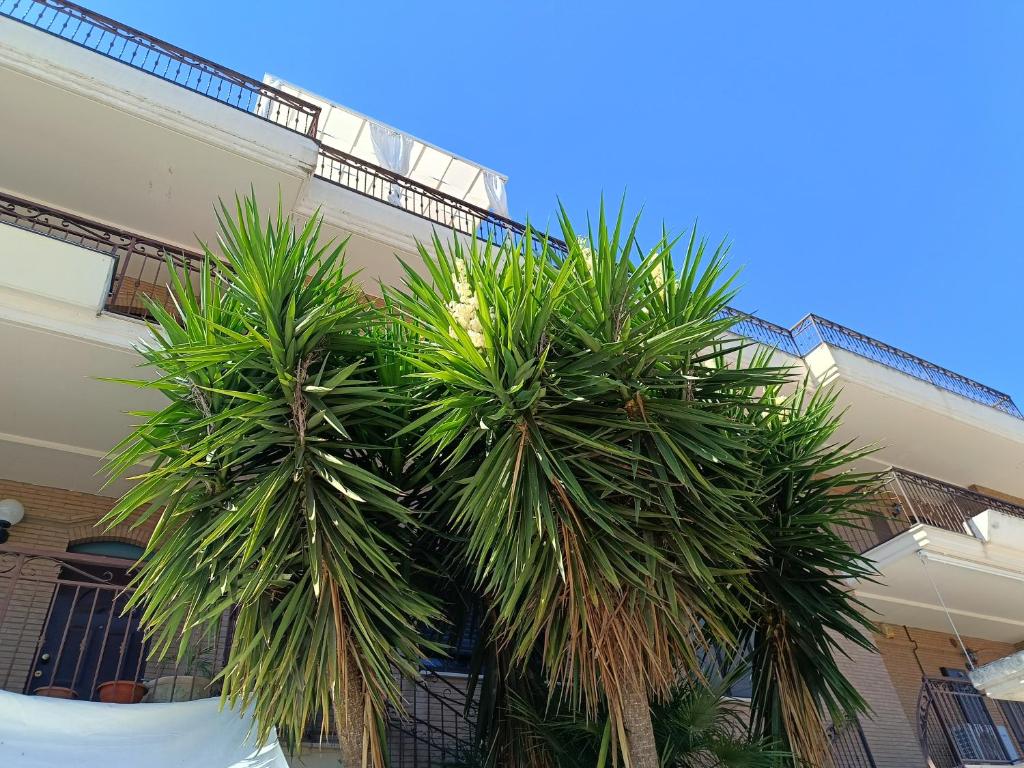 Bâtiment de l'appartement